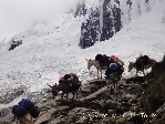 Hotel Peru – treking pod Huascaránem dovolená