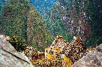 Peru 05