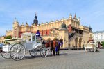 Polsko, Dolní Slezsko, Dolní Slezsko - Cestou Polských králů až k dunám Baltského moře