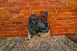 Wroclaw_trpaslík_Radynacestu_foto_Pavel_Spurek.jpg