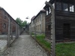 P1070941
