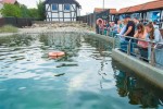 Hotel Gdaňsk a poloostrov Hel dovolená