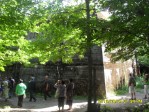 SDC13950.JPG