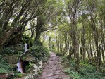 Hotel Azorské ostrovy - São Miguel a Flores – pěší turistika v květinovém ráji dovolená