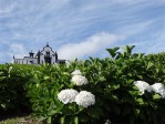 Hotel Azorské ostrovy - São Miguel a Flores – pěší turistika v květinovém ráji dovolená
