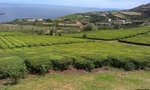 Hotel Azorské ostrovy - São Miguel a Terceira - pěší turistika dovolená