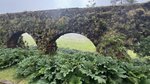 Hotel Azorské ostrovy - São Miguel a Terceira - pěší turistika dovolená