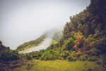 nahorni_plosina_Paul_da_Serra_madeira_spurek (3).jpg