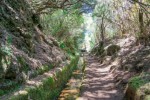 Levada walk in Madeira