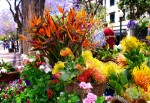 Madeira - květinový festival
