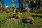 Hotel Quinta Jardins do Lago dovolenka