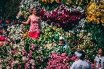 Madeira_kvetinovy_festival_5_CK_Radynacestu_foto_O_Duffek.jpg