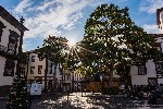 Madeira_Funchal_Radnicni_namesti_Radynacestu_foto_Pavel_Spurek.jpg