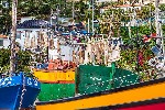 Camara_de_Lobos_madeira_spurek (5).jpg