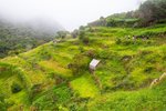 Trek_do_Porto_da_Cruz_madeira_spurek (2).jpg