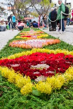 Portugalsko, Madeira, Machico - Květinové slavnosti na Madeiře 55+