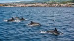 Hotel Azory – harmonie oceánu a sopek dovolená