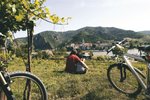 Hotel Údolí Wachau z Kremsu do Melku dovolená