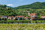 Vesnička Spitz v údolí Wachau