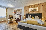 Hotel VITALHOTEL GOSAU BEZ SKIPASU dovolená