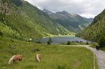 Hotel Ledovec Dachstein - pohodová letní turistika dovolená