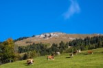 Hotel Cyklostezka Alpe Adria – ze Salcburku až k Jadranu dovolená