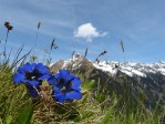 Hotel NP Berchtesgaden, Orlí hnízdo dovolená