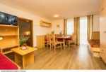 Rakousko, Salcbursko, Salzburger Sportwelt/Ski Amadé - APPARTEMENTS JAGDHOF UND ALPENFEX - léto