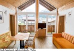 Rakousko, Salcbursko, Salzburger Sportwelt/Ski Amadé - APPARTEMENTS JAGDHOF UND ALPENFEX - léto