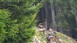 Rakousko, Štýrsko, Mixnitz - Medvědí soutěska