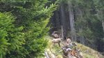 Rakousko, Štýrsko, Mixnitz - Medvědí soutěska