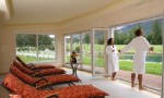 Wellness