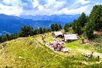 Zájezd s pohodovou turistikou v rakouském údolí Pitztal (5)