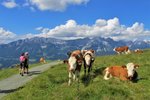 Kitzbühelské Alpy - zájezd s pohodovou turistikou lanovkami (1)