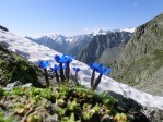 Hotel Stubaiské Alpy - svět ledovců a vodopádů dovolená
