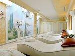 Wellness/Spa