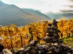 WACHAU - romantická plavba na lodi -  jednodenní zájezd autumn-3199749_960_720 