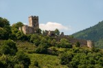 WACHAU - romantická plavba na lodi -  jednodenní zájezd ruin-1991984_960_720 