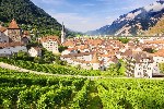 Hotel Od palem k zasněženým vrcholům dovolená