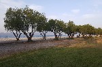 Řecko, Attika, Vrachati - ALKYON RESORT & SPA 50+