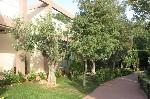 Řecko, Attika, Vrachati - ALKYON RESORT & SPA 50+