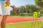 Tenis
