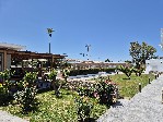 Zahrada