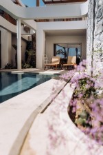 Junior suite swim up