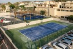 Tenis
