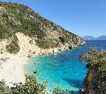 499e44c3-5f11-4cb2-8ae8-af2812a5c8ad