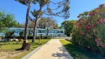 Hotel Ninos Grand Beach Hotel & Resort dovolenka