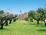 Zahrada