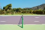 Tenis