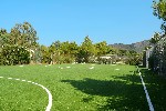 Fotbal